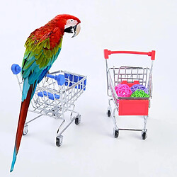 perroquet jouets petits moyens perroquets grands oiseaux