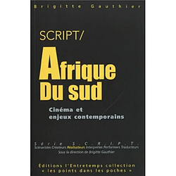 Afrique du Sud : cinéma et enjeux contemporains - Occasion