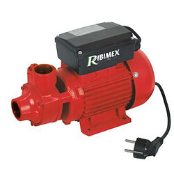 Ribimex Pompe centrifuge à eau (propre) et gasoil 370 w