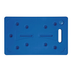 Plaque Eutectique Froide GN 1/1 - Cambro