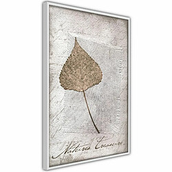 Paris Prix Affiche Murale Encadrée Dried Leaf 20 x 30 cm Blanc