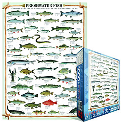 Avis Eurographics Poissons d'eau Douce Puzzle (1000 pièces)