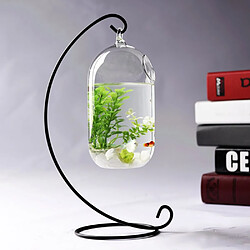 Avis Universal Suspension de 15 cm verre transparent suspendu aquarium bouteille d'infusion aquarium fleurs plantes vase vase pour la décoration de la maison