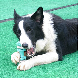 Acheter Jouet pour chien Indestructible Jouet à mâcher pour chien en caoutchouc naturel Jouet interactif distributeur de croquettes pour chien pour les chiens de petite et moyenne taille Nettoyer les dents.