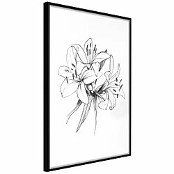 Paris Prix Affiche Murale Encadrée Sketch of Lillies 20 x 30 cm Noir