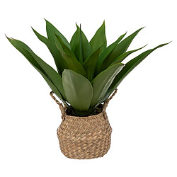 Atmosphera, Createur D'Interieur Agave H48 cm en pot - ATMOSPHERA