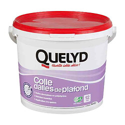 QUELYD - Colle pour polystyrène et matériaux isolation 4 Kg 