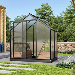 Vitavia Serre de jardin en polycarbonate 4 mm et aluminium noir avec embase Venus Longueur de 131 cm.