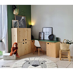 Acheter Astigarraga Armoire en pin brut 2 portes 4 tablettes Dinamic.