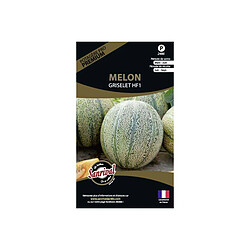 Graine melon