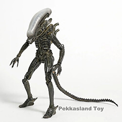 Acheter Universal NECA Alien 1979 Alien PVC Action Figures Collection Modèle Jouet | Action Figures(Le cuivre)