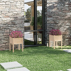 Maison Chic Lot de 2 Jardinières d'extérieur,Bac à fleurs - pot de fleur 50x50x70 cm bois de pin massif -GKD87475