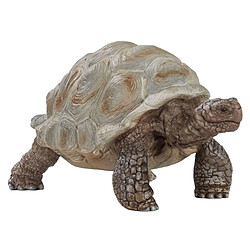 Schleich Figurine Tortue Géante Série Wildlife Modèle Réduit Multicolore