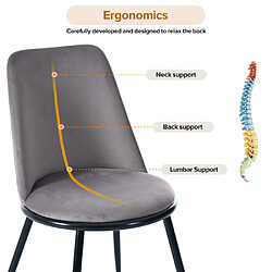 ComfortXL Chaise De Salle À Manger En Velours, Lot De 2, Dossier Rond, Gris pas cher