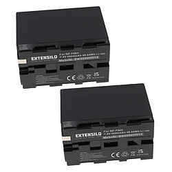 Vhbw EXTENSILO 2x Batteries compatible avec Sony DCR-VX9 Serie, DSC-CD100, DSC-CD250, DSC-CD400 appareil photo, reflex numérique (6600mAh, 7,4V, Li-ion)