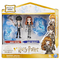 Acheter Ludendo Coffret Patronus Harry Potter et Ginny Weasley Wizarding World