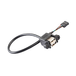 Double USB 2.0 Femêlle À 9 Pins Carte Mère Câble de Connexion Header Corde pas cher