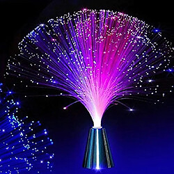 Avis Magneticland Lampe à fibre ColourDream