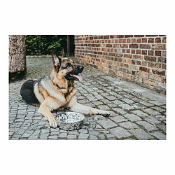 Mangeoire pour chiens Hunter Namy Argenté Acier inoxydable Élégant (23,2 x 27,7 x 8,5 cm)