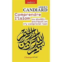 Comprendre l'islam ou plutôt : pourquoi on n'y comprend rien - Occasion