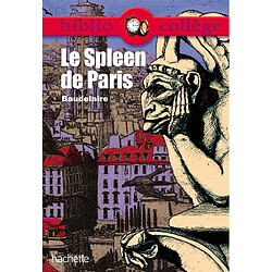 Le spleen de Paris - Occasion