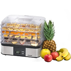 STEBA 055500 ED5 Sechoir a fruits electronique - 350 W - Surface de sechage 5 x 32 x 25 cm - Inox et Noir