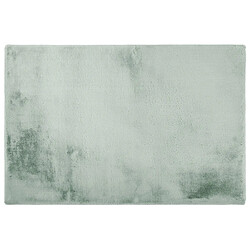 Lisa Design Joy - tapis rectangulaire - fausse fourrure - vert sauge