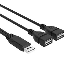 Câble D'alimentation USB 2.0 A Mâle à 2 Doubles USB 480 Mbps basé sur technologie USB 2.0 pas cher