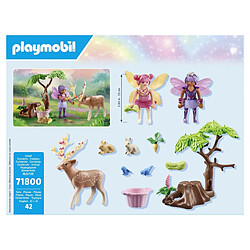 Playmobil® Playmobil Duo de Fées Enchantées