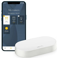 Somfy 1870755 - Kit de connectivité - Pour contrôler les moteurs et l'éclairage Somfy avec un smartphone - Compatible moteurs io & RTS - Contrôle à la voix via l'Assistant Google, Alexa, HomeKit