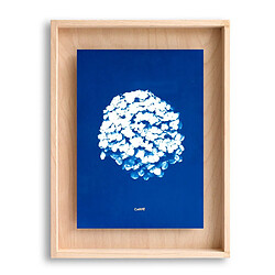 Swabdesign Cadre Carpë cyanotype Hortensia 40x30cm