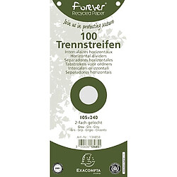 Avis Exacompta Paquet 100 fiches intercalaires horizontales unies perforées Forever - 105x240mm - Gris - Lot de 7