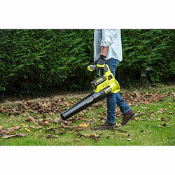 Acheter Souffleuse Ryobi Turbo Jet Blower - RY36BLA-0