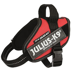 JULIUS K9 Harnais Power IDC Mini-Mini-S : 40-53 cm - 22 mm - Rouge - Pour chien