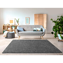 Vente-Unique Tapis shaggy à poils longs - 200 x 300 cm - Anthracite - MILINIO