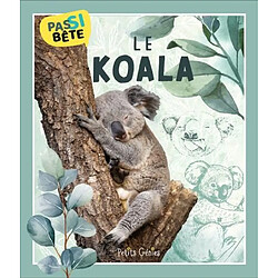 Le koala