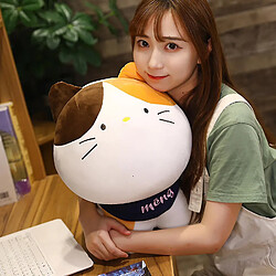 Universal 35 cm Jouets en peluche animaux mignons anime petit animal oreiller doux enfants en peluche poupée | oreillers en peluche