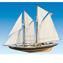 Bluenose