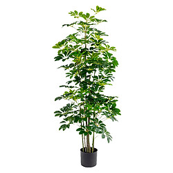 Plante décorative Alexandra House Living Plastique Schefflera 155 cm