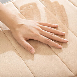 Avis Tapis de Bain Antiderapant Absorbant 40x60cm Beige