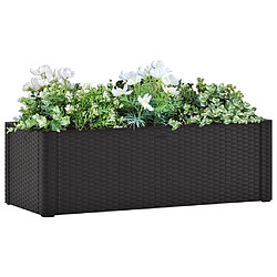 Maison Chic Jardinière,Lit surélevé de jardin - Bac à fleurs - pot de fleur système arrosage Anthracite 100x43x33 cm -GKD68098