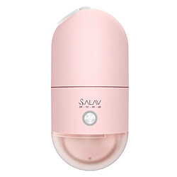 Fer à suspendre vêtements à main fer à vapeur ventilateur voyage fer électrique portable - Rose