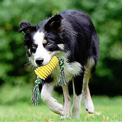 Jouet de dentition pour chien