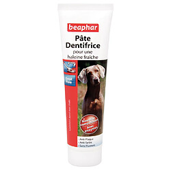 Beaphar - Pâte Dentifrice 2 Enzymes au Goût Foie pour Chien - 100g