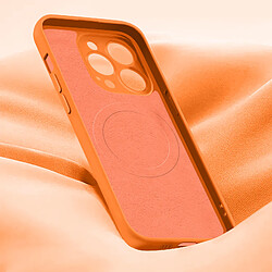 Avis Avizar Coque Magsafe pour iPhone 15 Pro Max Silicone Soft-touch Mag Cover Orange