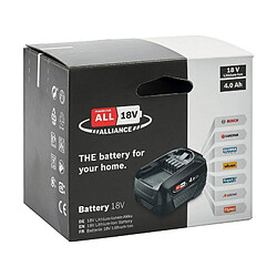 Avis Batterie Rapid p4a 18 V