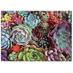 Universal 1000 pièces de puzzle décompressé puzzle éducatif jouet, succulent puzzle