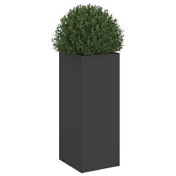 Avis vidaXL Jardinière noir 32x29x75 cm acier