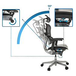 Chaise de bureau / fauteuil de direction ERGOHUMAN GEN2 assise cuir / dossier maille noir hjh OFFICE