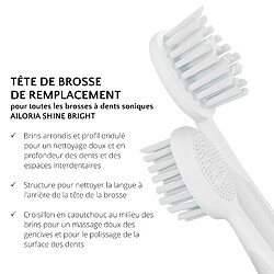 Avis Ailoria SHINE BRIGHT Têtes de brosse Extra Clean - lot de 12